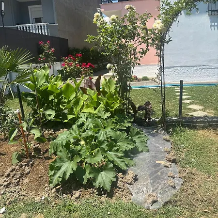Appartement Pancho - Family Vromerí